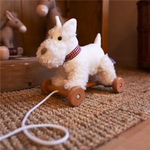 ARRASTRE PERRO WALTER EGMONT